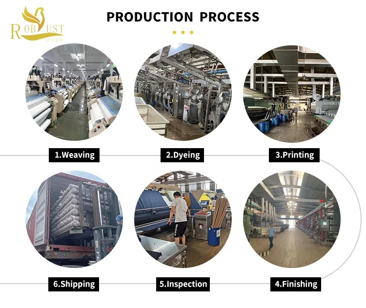 LBS2404115 30D Water Repellent Plain 100% Polyester T800 Weft 4 way Stretch Woven dyed Fabric for jacket