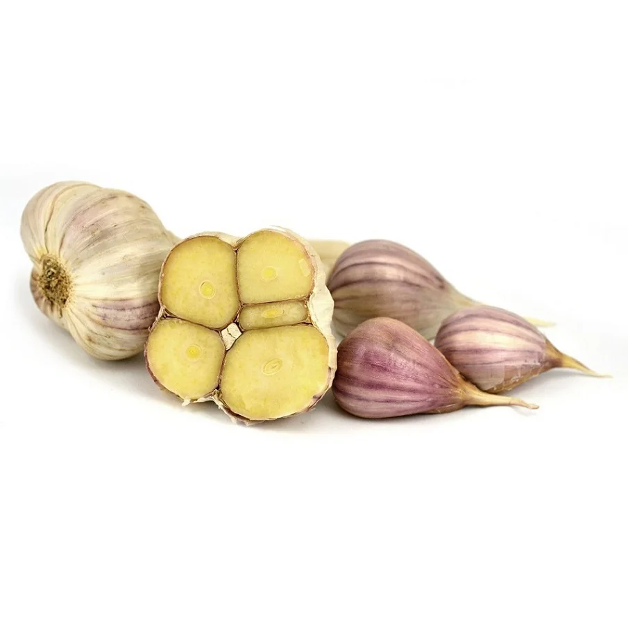 Best Fresh Garlic Wholesale Fresh Peeled Garlic Purple Garlic