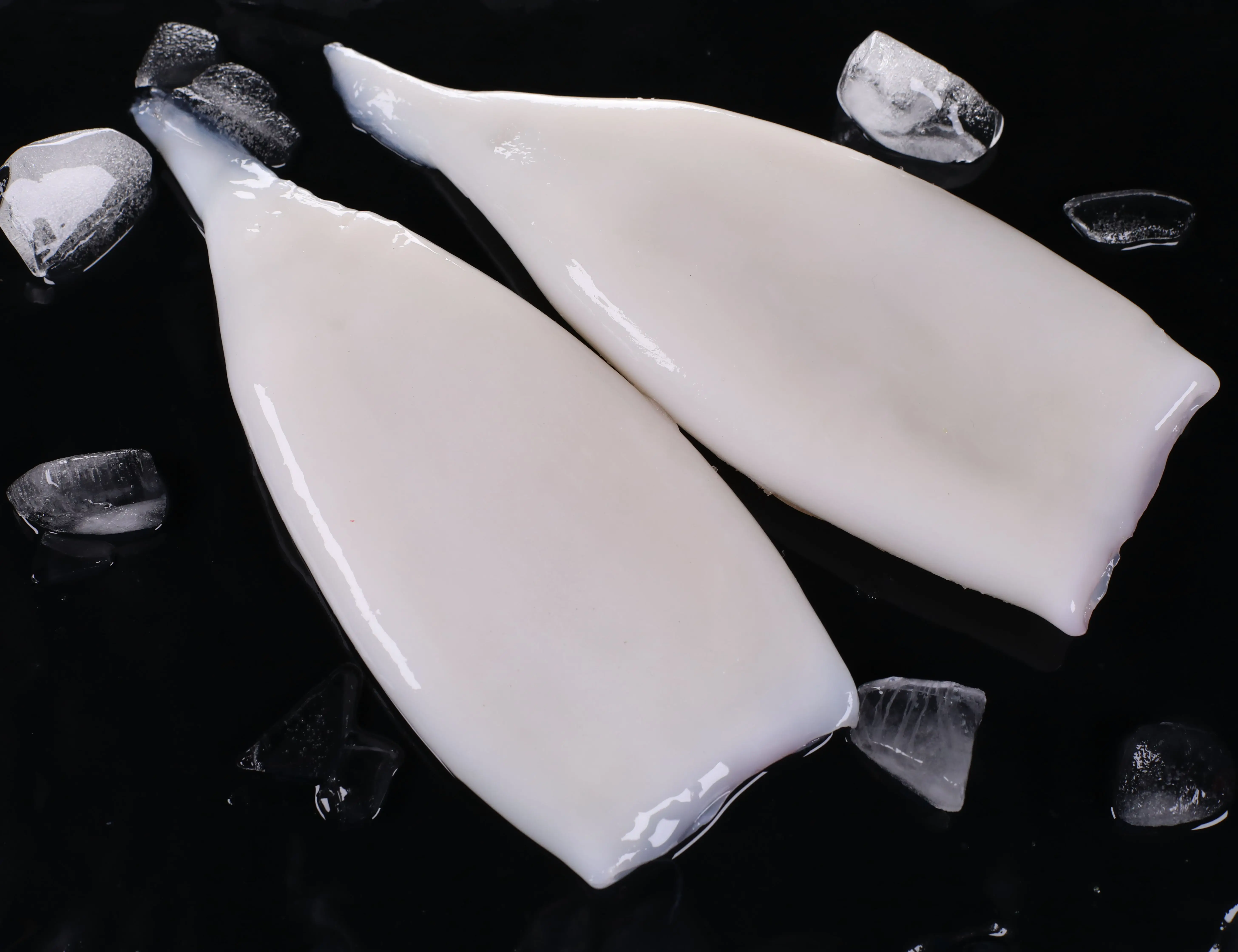 Frozen seafood frozen squid tubes u5 u10 u20