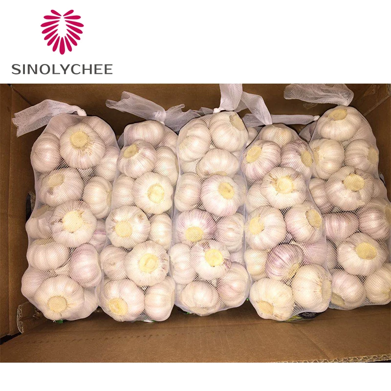 2022 New Crop Fresh Red Garlic Wholesale Price Frozen Garlic