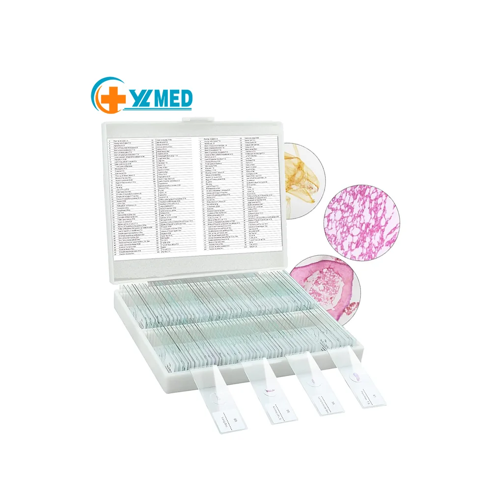 10/20/30/50/100 Slides Of Biology And Pathology Prepared Microbiological Bacterial Specimens Microscope Slide Set with Plastic