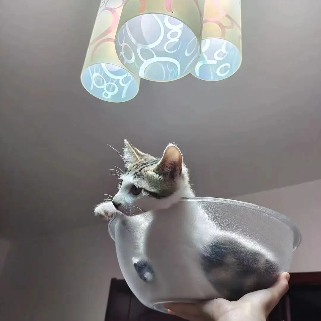 Cup Pet House New Product Durable Waterproof Plastic Pet Dog House Indoor Pet Care