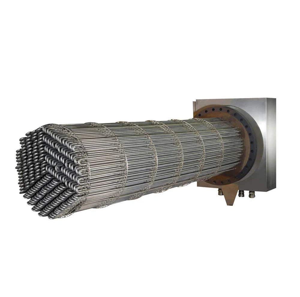 ATEX certificated electric heater immersion