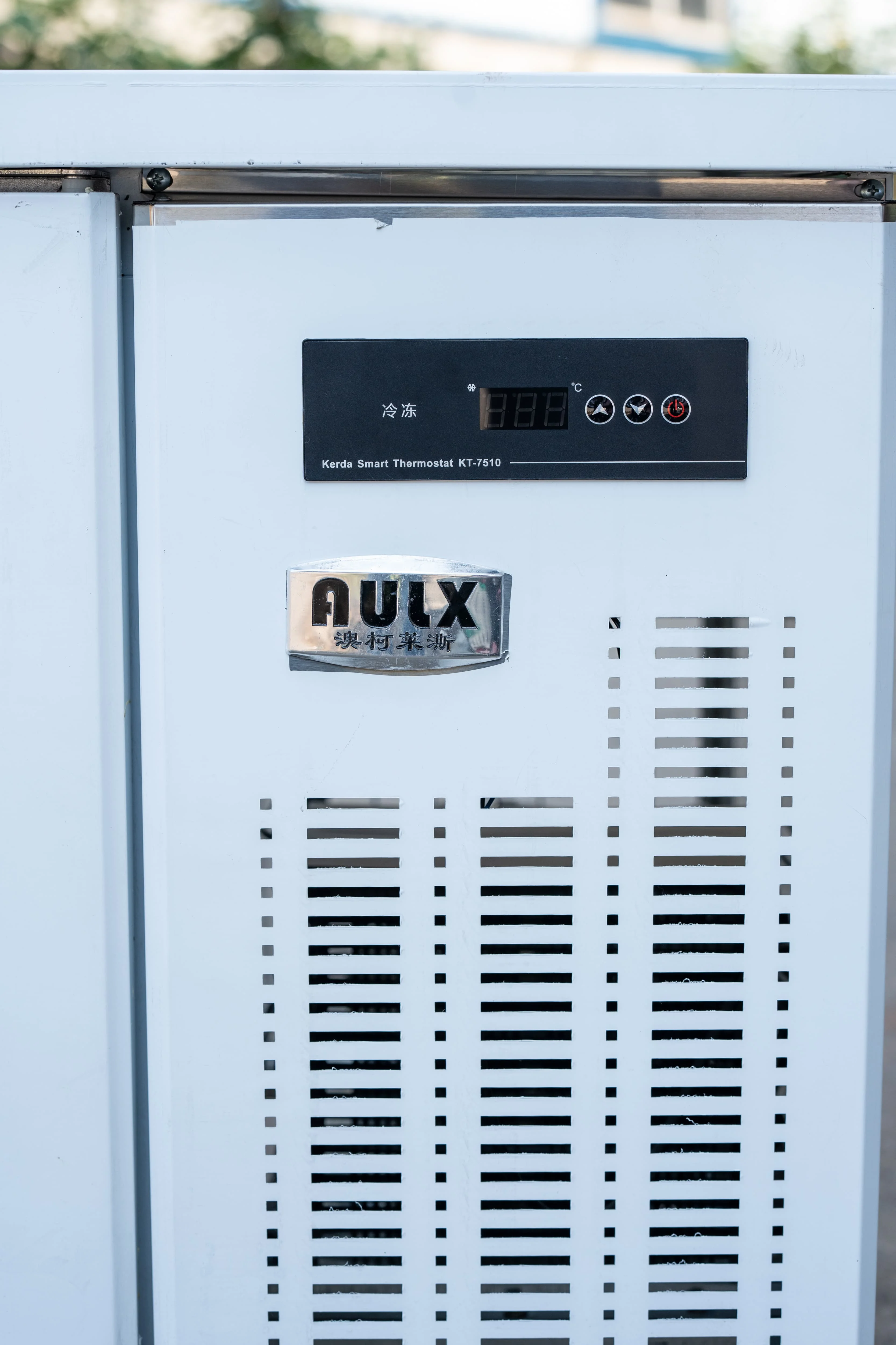 Manufacturer Direct Sales Electric Frost-Free Double Temperature Horizontal Freezer Commercial Household Frequency Conversion