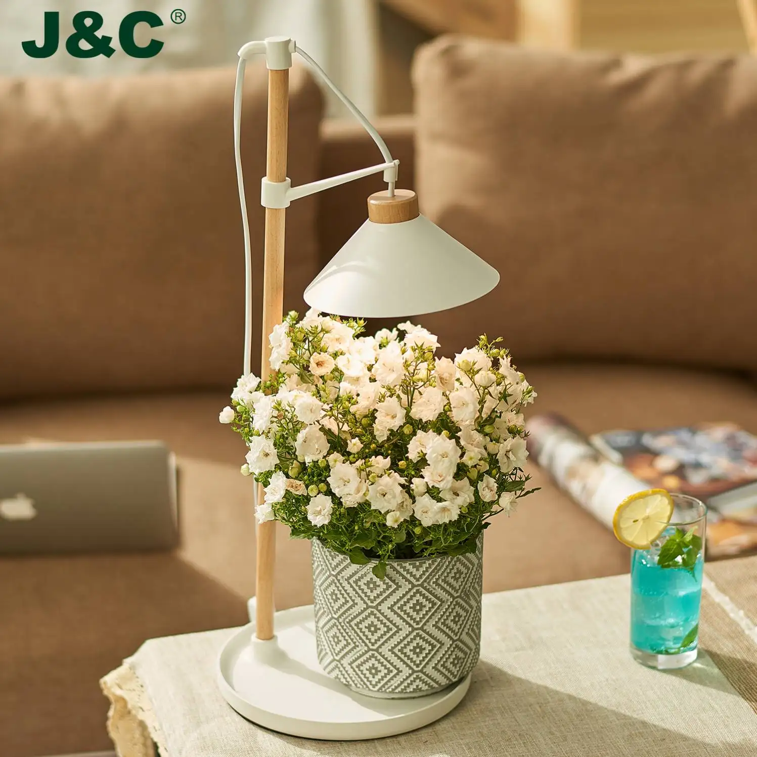 J&C Minigarden led hydroponic grow kit smart garden plant pods wooden indoor garden 2022