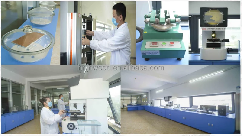 tests our lab do.png