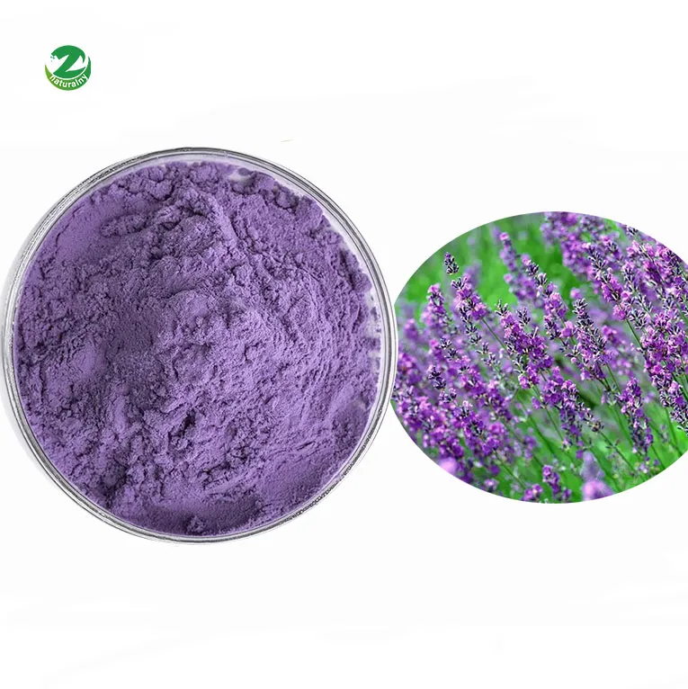 Factory Supply OEM Bulk Supply Dried Lavender Flower Tea Extract 10:1 Lavender Flower Extract Powder