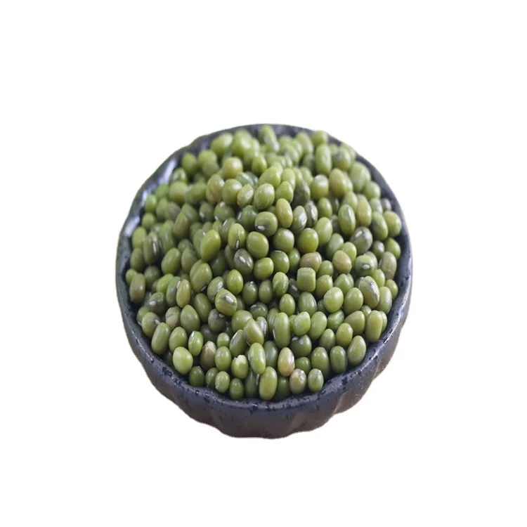 Durable using low price manufacturer wholesale green mung beans Mung Beans