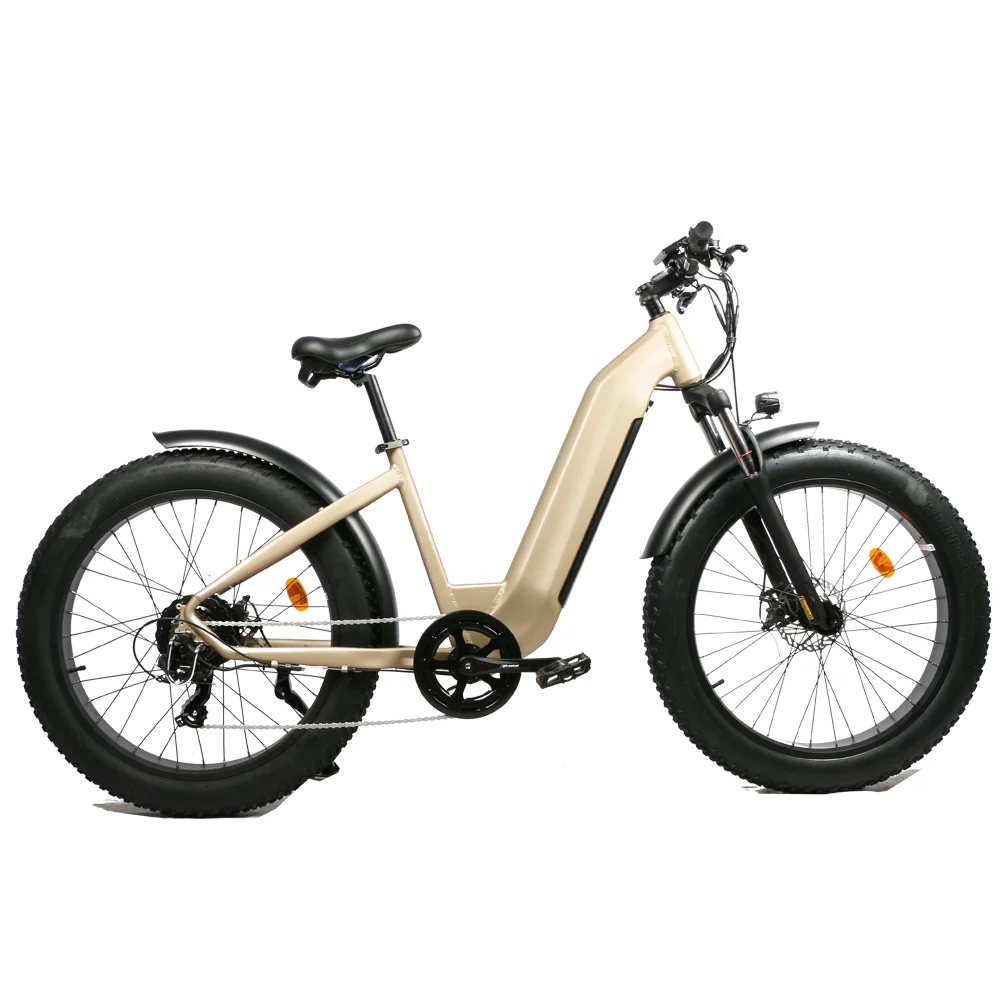 Emtb Retro Electric Hybrid Bike 750w E-Bike Road Dirt E Bike 48V Step Through Ebike Mountain  Off-road Fat Tire 1000w Ebike