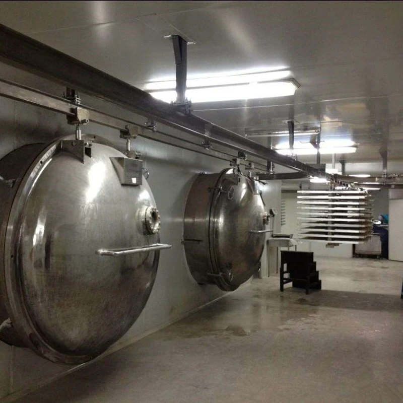 Lyophilization Equipment Freeze Drying Lyophilizer Machine Industrial Fruit Food Vacuum Freeze Dryer