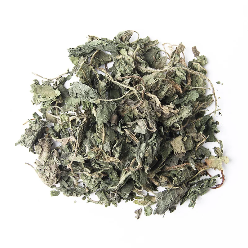 Bulk Wholesale Chinese Herbal Tea 100% Natural Dried Nettle Leaf Cut Green Nettle Leaves Tea UrticafissaE. Pritz.