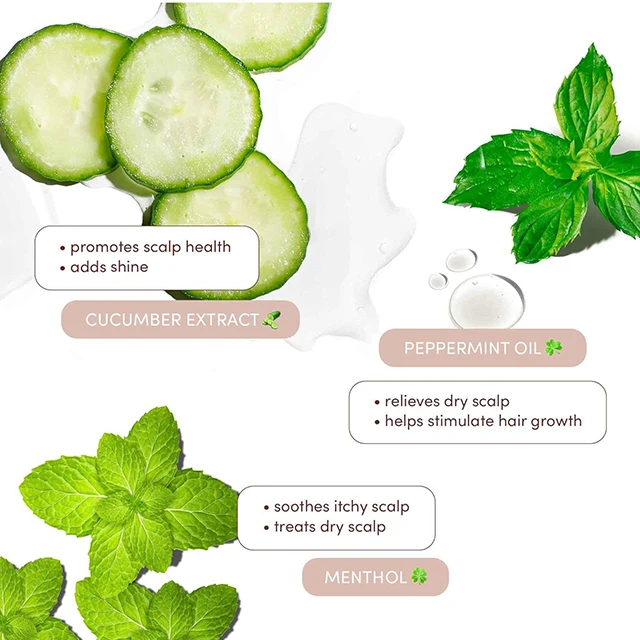 Organic Scalp Care Dandruff Shampoo with Zinc Pyrithione Nourishing Moisturizing Anti-Dandruff Feature Smooths Cleans Hair Scalp