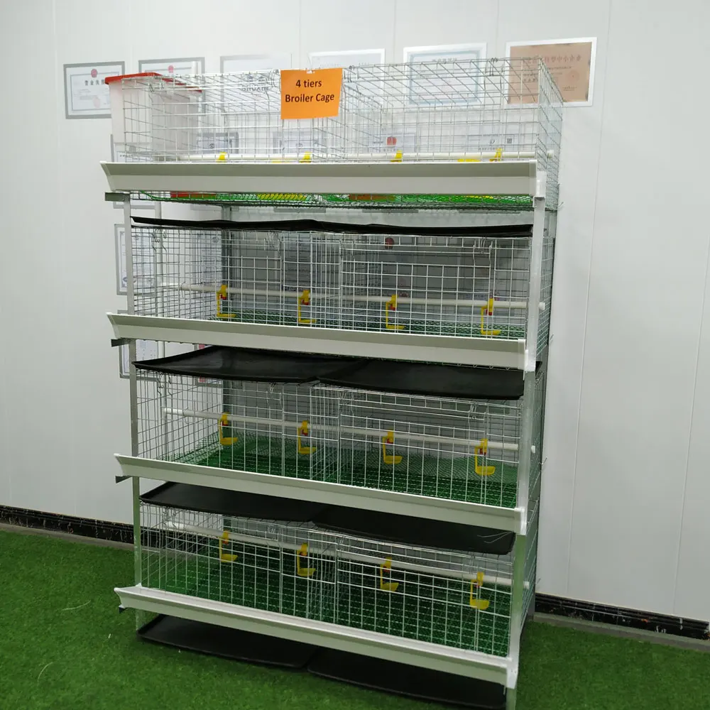 Broiler Chicken Cage Supplier Chicken Farming Poultry Broiler Battery Cage