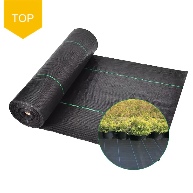Hot Selling Farm Greenhouse Weed Control Roll Fabric in Stock