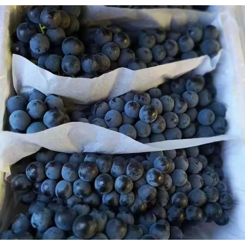 
Xinjiang Wholesale fresh seasonal summer black Sand Giant Peak Seedless grapes 