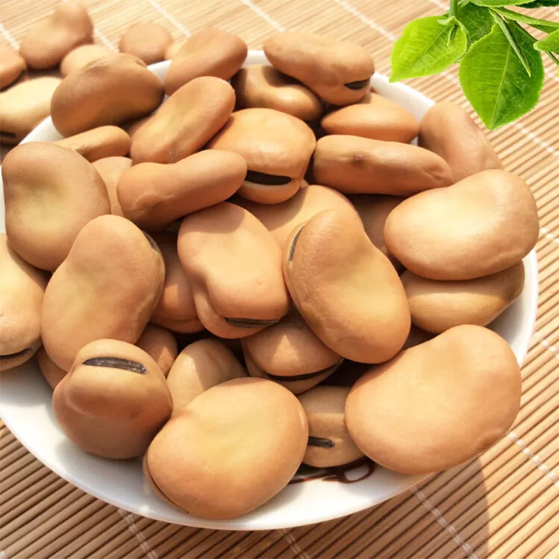 High Quality Broad Bean