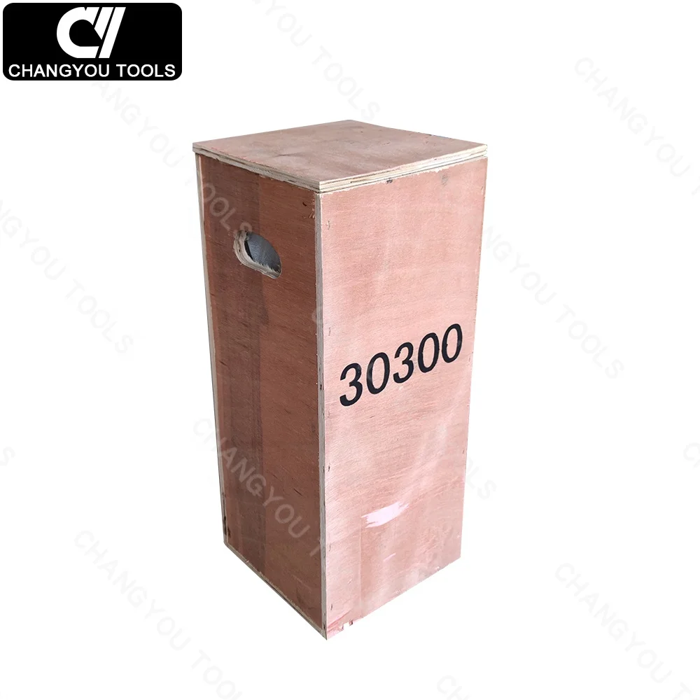RR-30300 30 Ton Hydraulic Spring Return Double Acting  Hydraulic Jack Cylinder