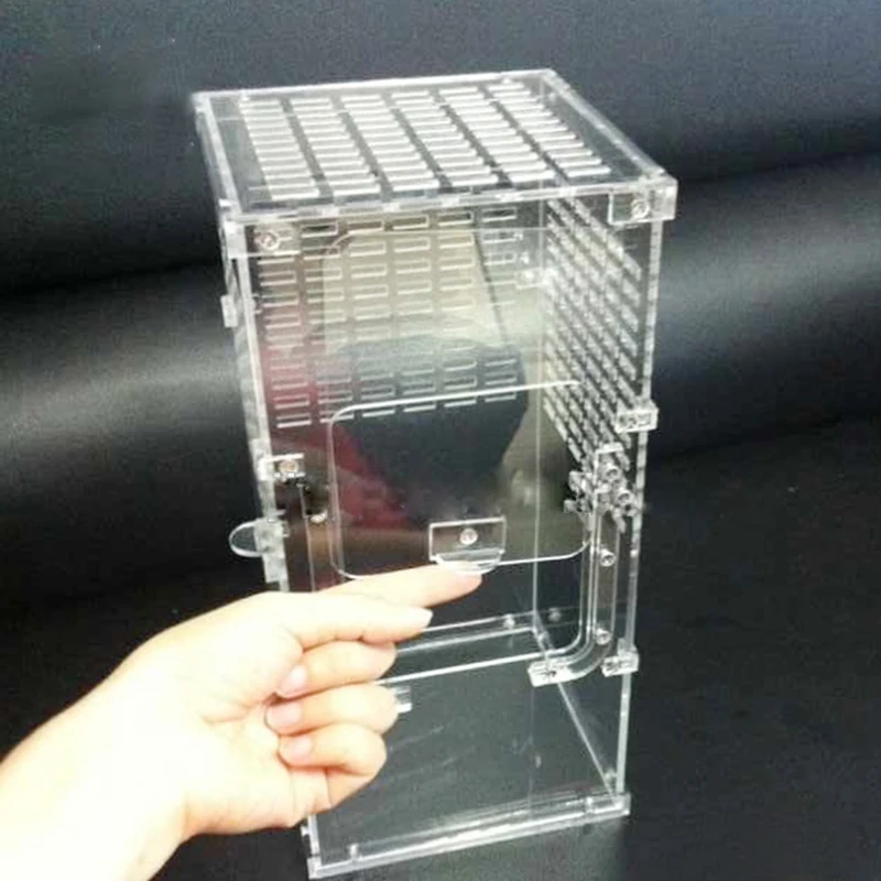 Factory custom clear pmma plexiglass acrylic reptile terrarium pet cage acrylic reptile cage for Larvae spiders ants scorpion