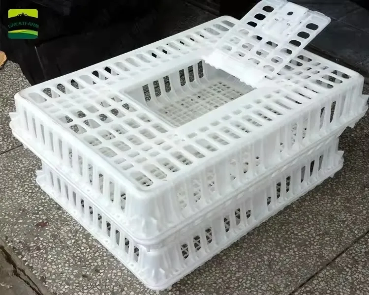 2025 Hot Selling Animal & Poultry Husbandry Equipment Chick Transport Box for Layers Broiler Chickens