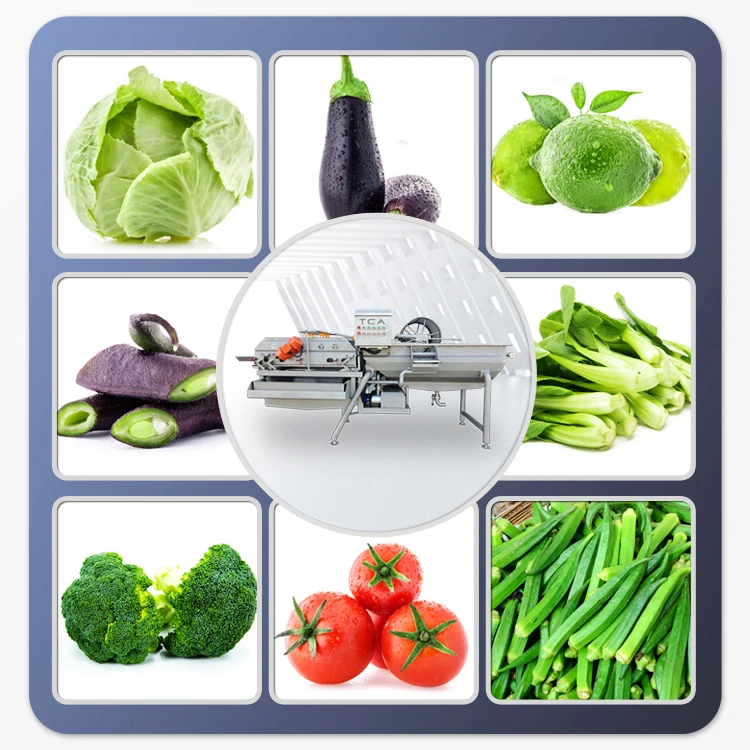 XXD Высококачественная машина для обработки овощей и пищевых продуктов, машина для обработки листовых овощей