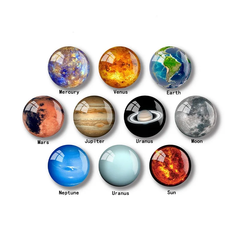 Glass Magnets for Refrigerator ,Cute Fridge Magnets for Office and Kitchen , Succulent Whiteboard Magnets for Locker