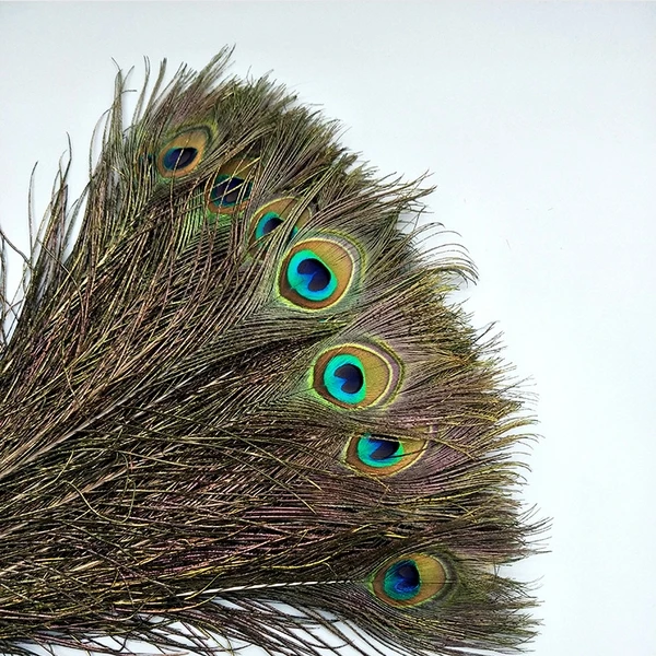 
 High Quality natural color peacock feathers Peacock Feather Costumes Gorgeous fashion Decorative accessories feathers  