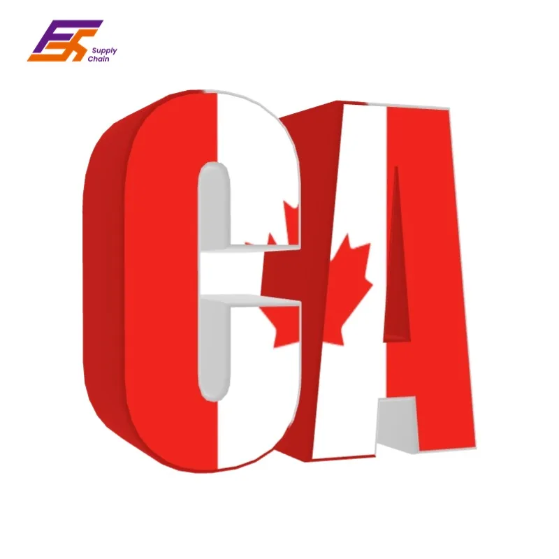 Best China to CA Canada Shipping Special Transportation with Insurance DDP DDU LCL Express Sea Transport Company