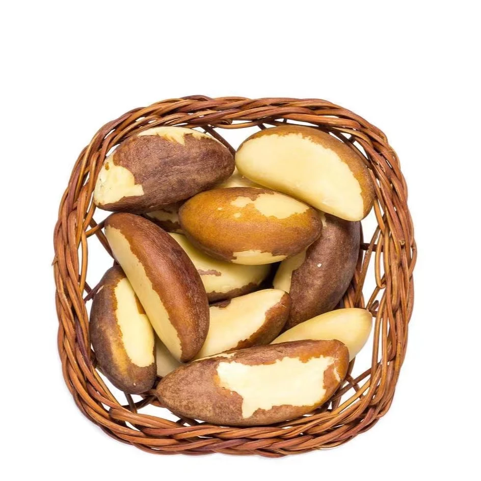 Wholesale Price Raw and Roasted Cheap Price Bertholletia excelsa