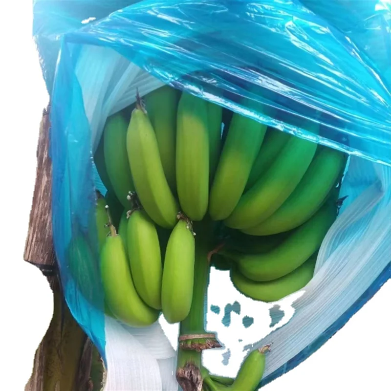 Fruit Protection Bags Pest Control Anti-Bird Netting Bags Mesh Grape Planter Grow Bags fruit packing