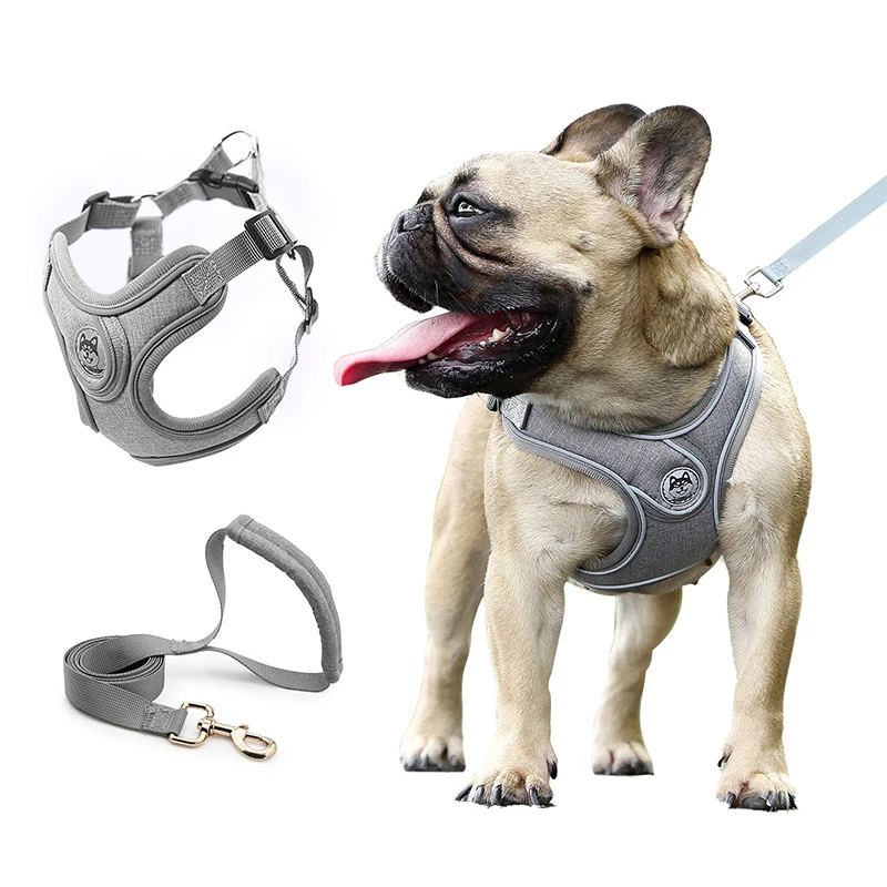 Custom All-in-one Design Retractable Dog Leash Adjustable Pet Harness Set Reflective Dog Harness Pet Supplies For Leading Dog