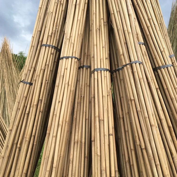 Winslow & Ross wholesale plant support stakes bamboo garden stakes natural bamboo flower sticks
