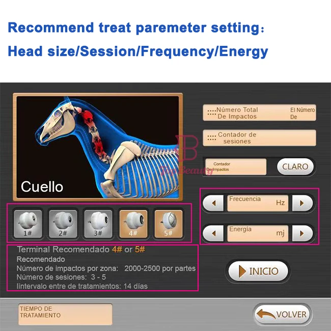 Veterinary  Horse Use Radial Focused Electromagnetic Shockwave Therapy Machine