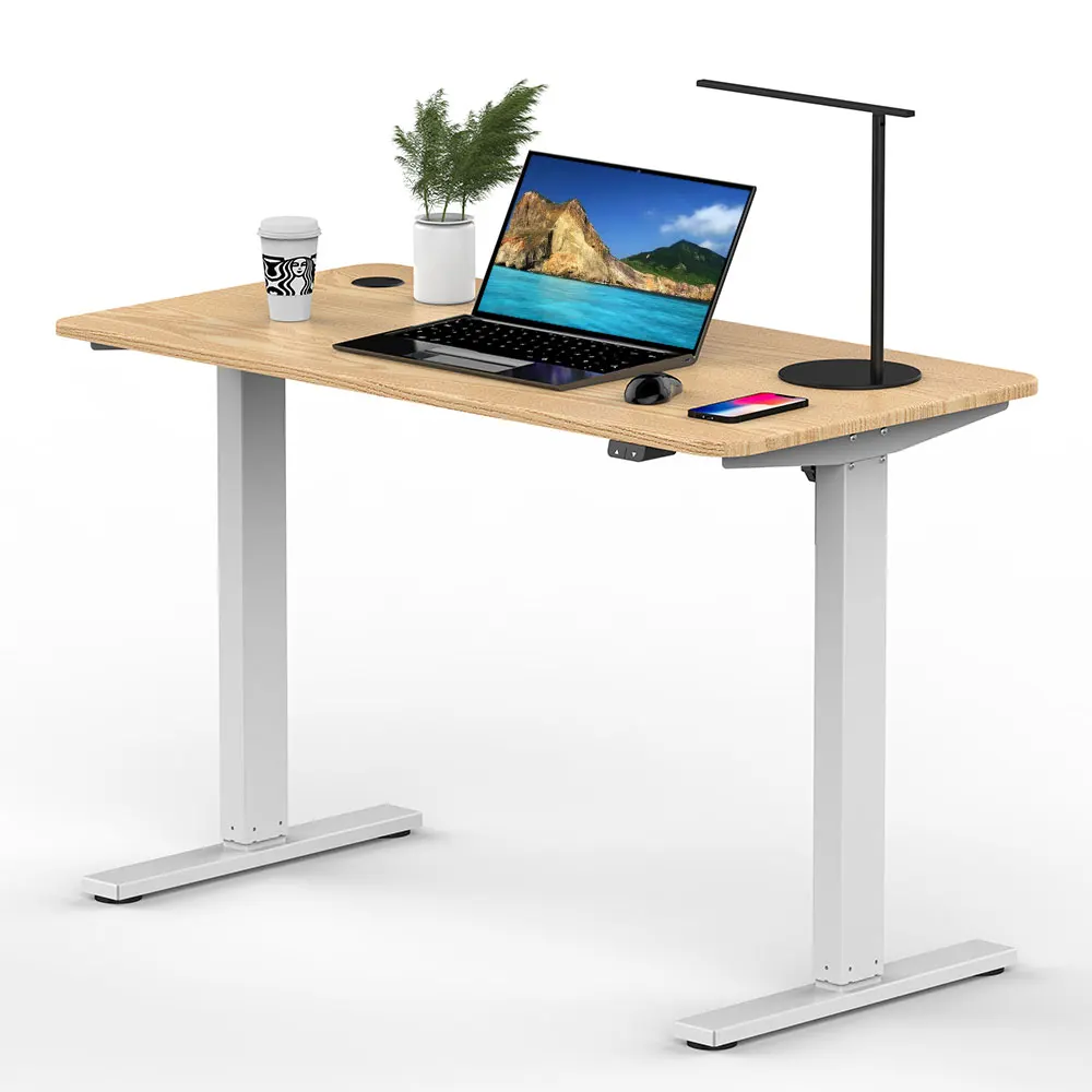 Single Motor Electric Adjustable Standing Desk Height Adjustable Desk Frame Sit Stand Desk Luxury Office Furniture Table