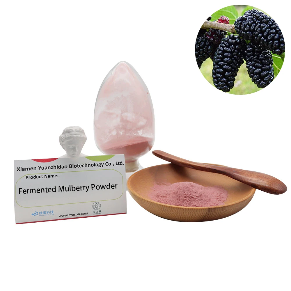 Hot Selling Super Fresh Fermented Mulberry Powder Health Care Raw Material  Mulberry Powder Nourishes The Liver And Kidney