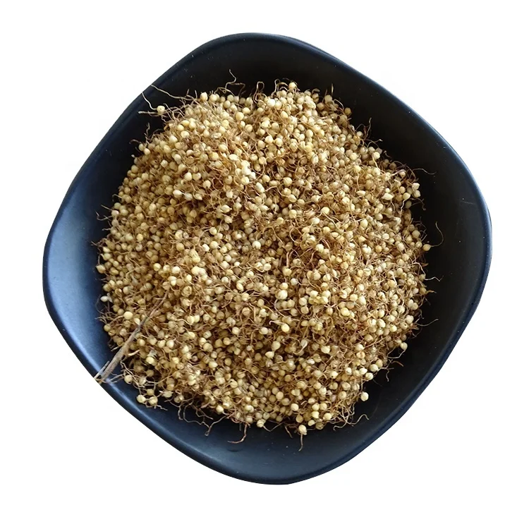 Premium natural harvested soft and hard ground wheat