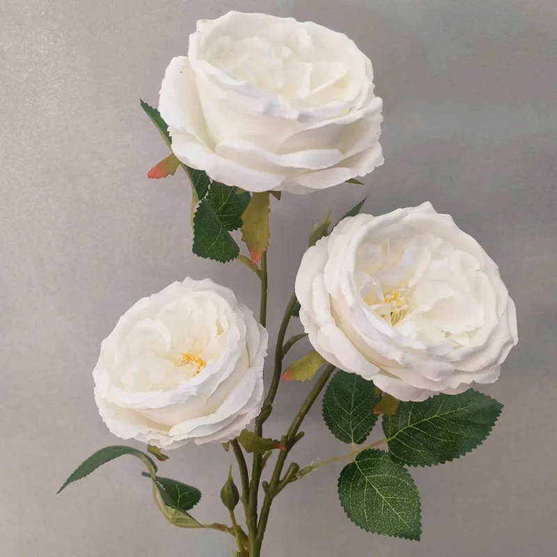 EG-G926 Wedding Background Flower Silk rose Stem flower 3 heads Austin White Rose for Home decor