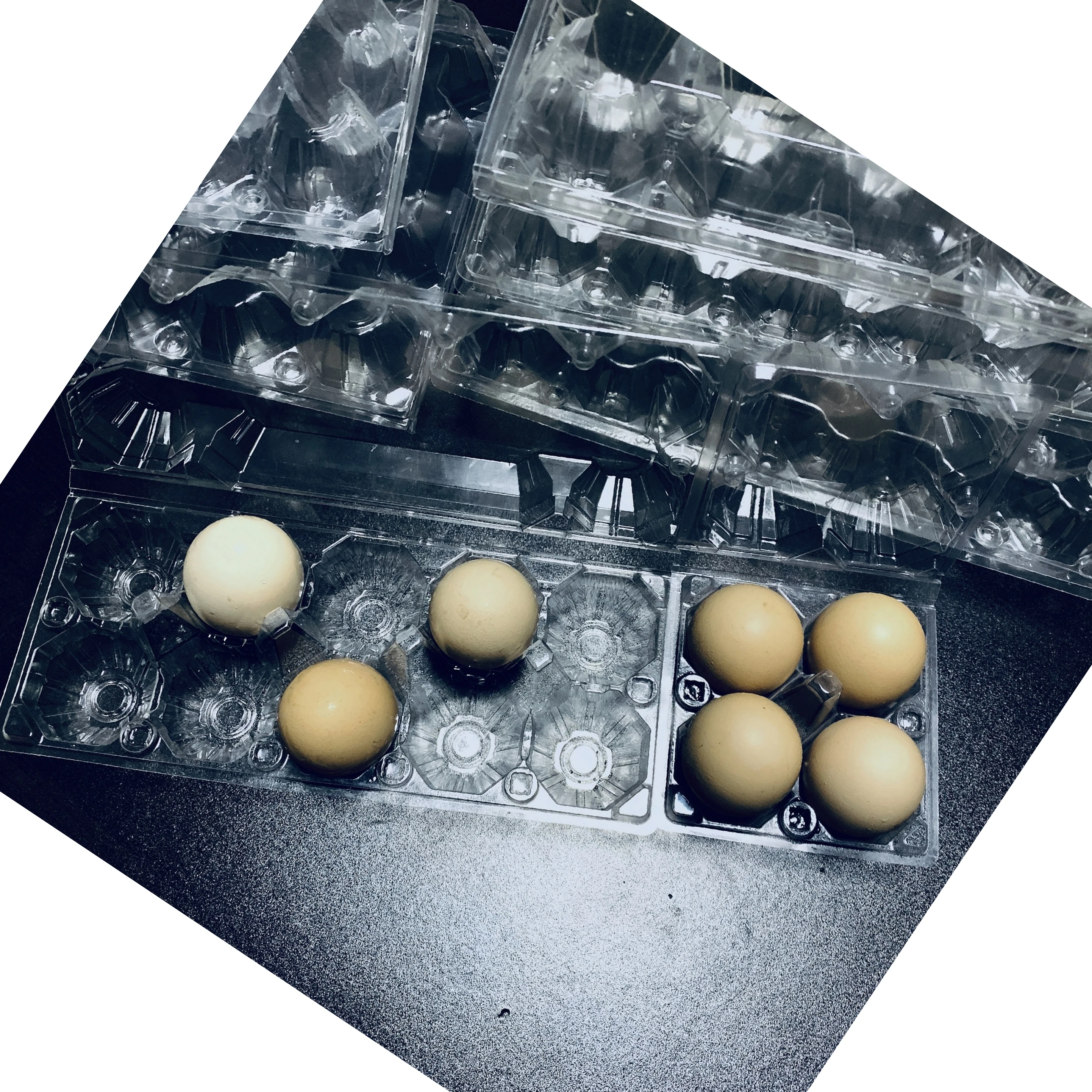 Прямая продажа с завода, дешевый пластиковый лоток для яиц, изготовленный из полиэтилена