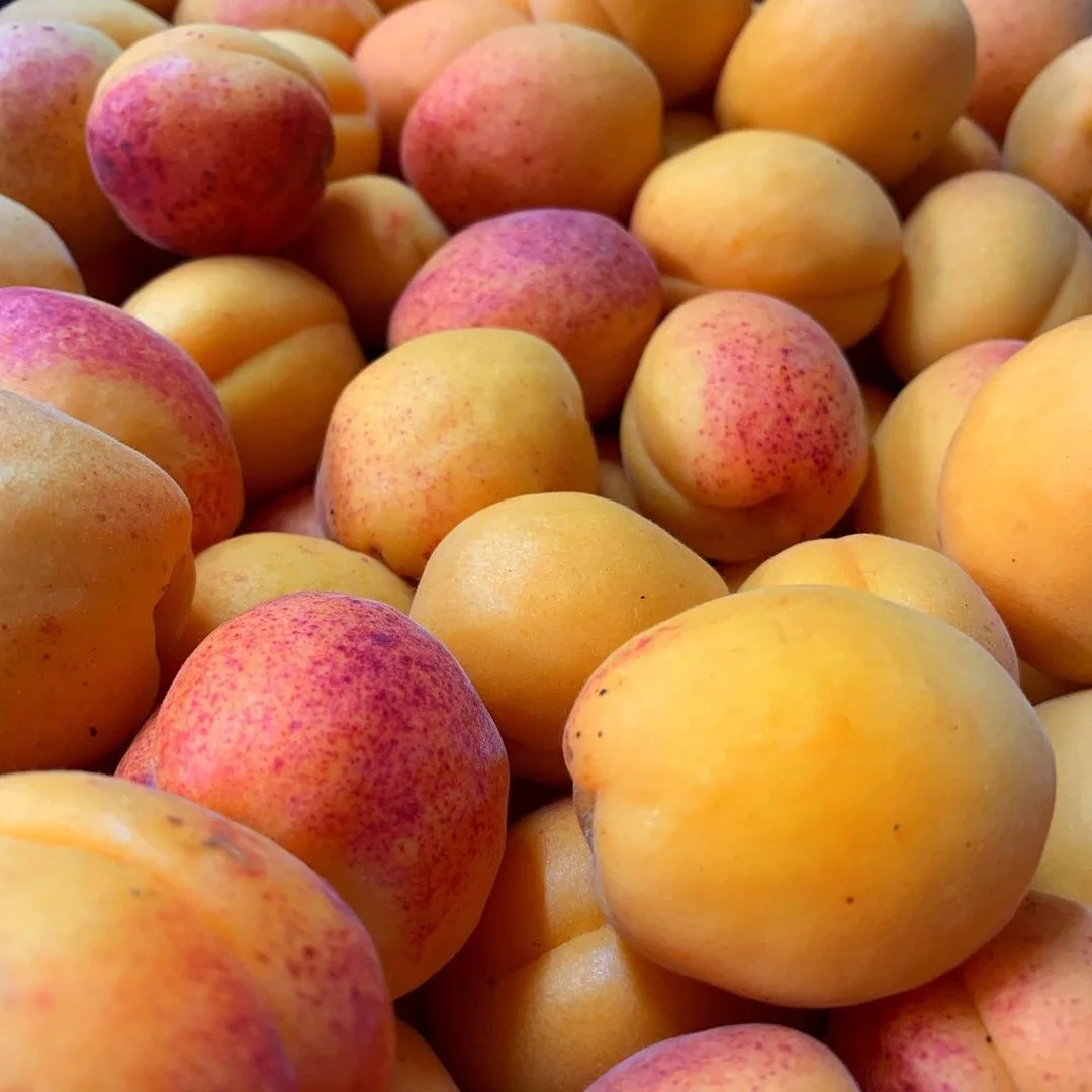 
Top Grade One Fresh Apricots For Sale 