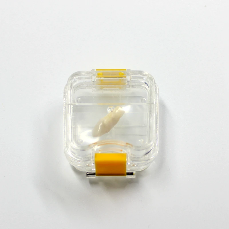 Dental membrane box/ plastic crown box with film tooth box/membrane denture box