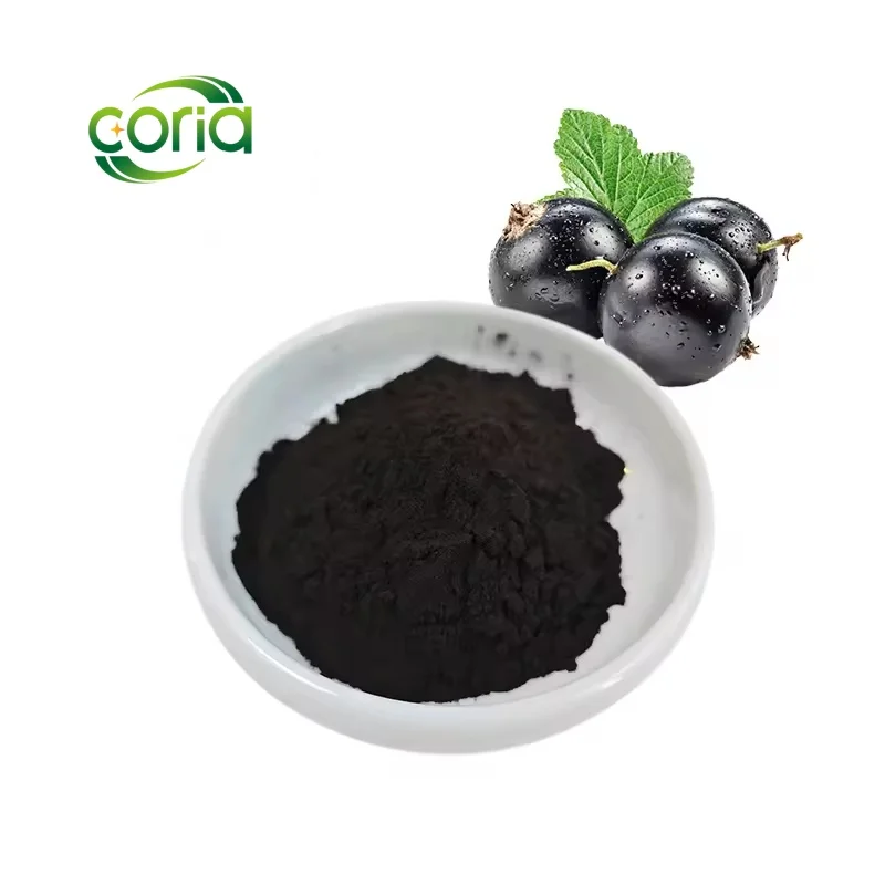 Competitive Price Natural Black Currant Extract Black Currant Powder