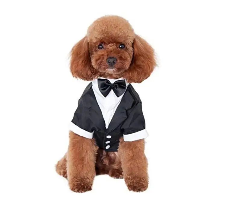 Gentleman Pet Apparel Shirt with Button Birthday Halloween Classic Collection Clothes dog wedding costume suit jacket