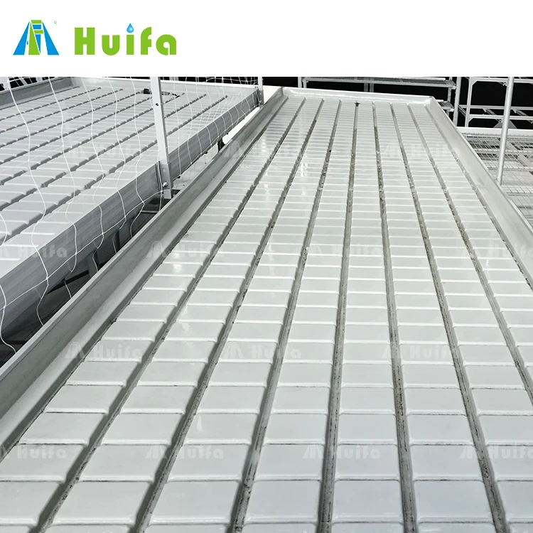 Agricultural Equipment Fixed Plant Growing Flood Ebb Trays Grow Table Grow Rack For Plants