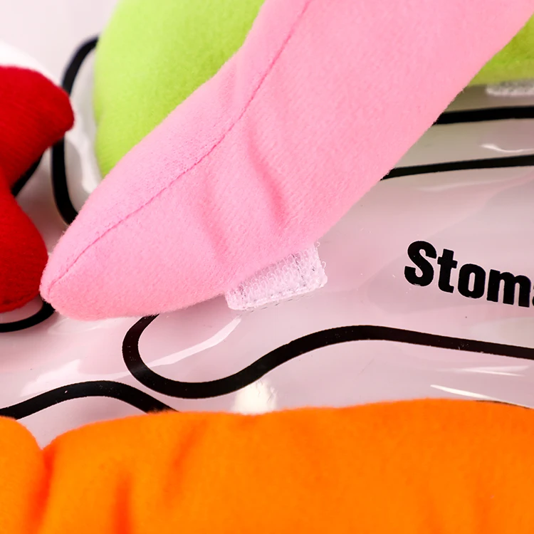 Hot Sale Cheap Human Body Organ Toy with Apron Viscera Montessori Teaching Early Educational Toy for Kid