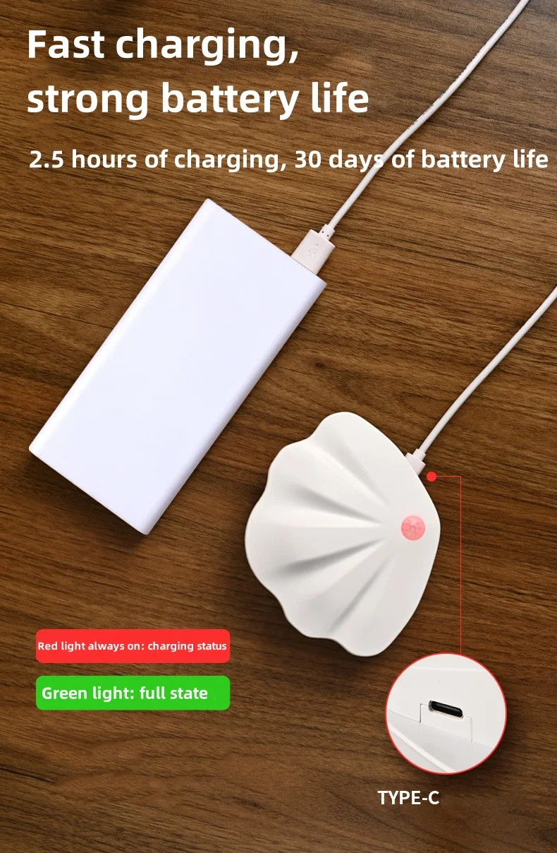Shell intelligent body sensor wall light led charging electromagnetic suction lamp indoor stairs door sign night light