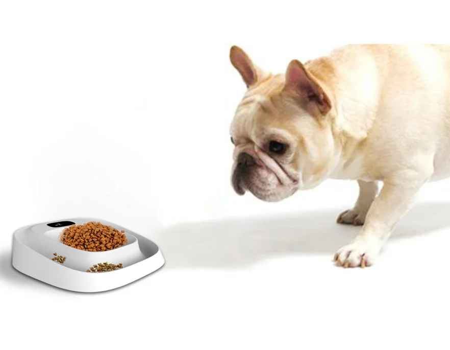 2023 Zhejiang New Arrival OEM Cat Dog Smart Feeding Bowl Pet Food Scale electric scale with bowl