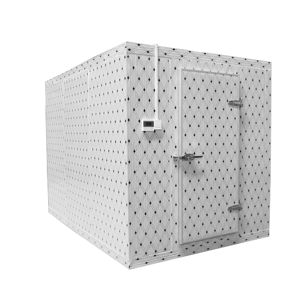 Quick Freezer Best Rechargeable Battery Solar Power for fish meat vegetable Cold Storage Room for Vegetables and Meat