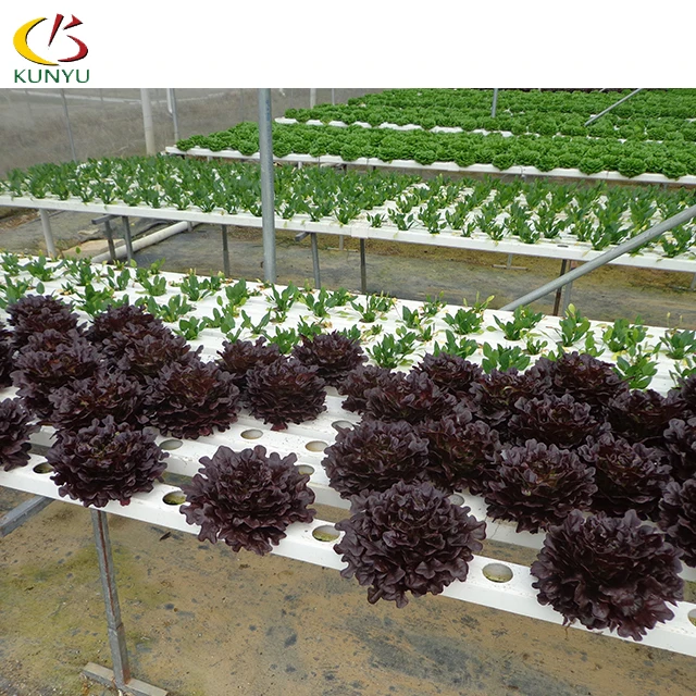 Manufacturer supply 120*80mm NFT Greenhouse Complete Hydroponic Growing  System for Melon and Fruit