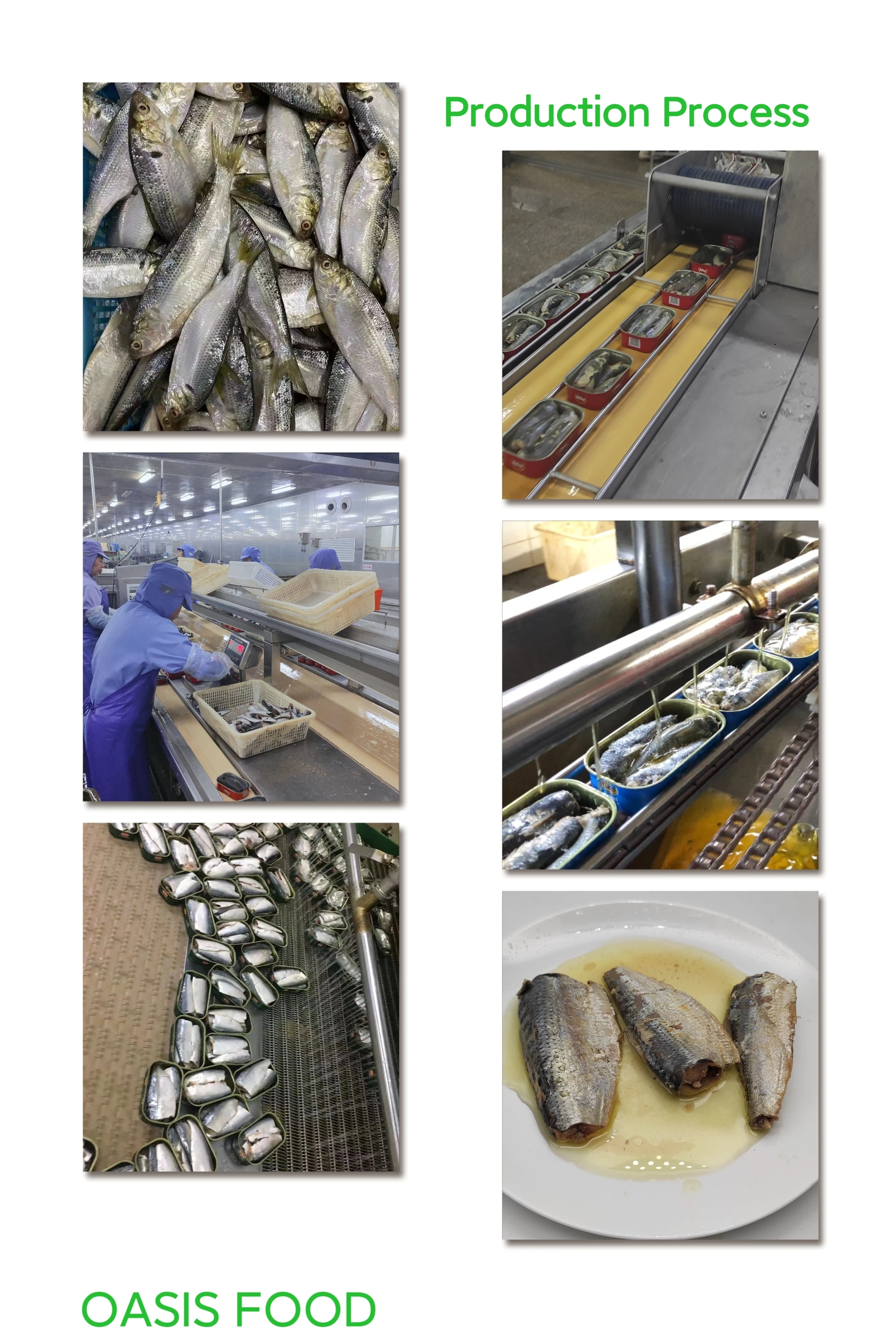 Factory Price Good Taste Canned Fresh Sardines In Vegetable Oil Vitamin-Packed