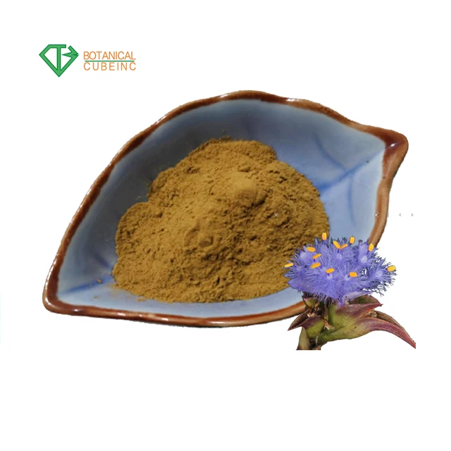 B.C.I ISO Factory 50%~98% Beta-ecdysterone Capsule 500 mg 20-hydroxyecdysone Powder Cas 289-74-7 in Cyanotis Arachnoidea Extract
