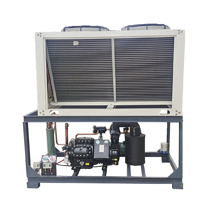 Quality Assurance R134A Emerson Piston Cold Storage Compressor Refriger Piston Compressor Air-cooled Condensing Unit of Copeland
